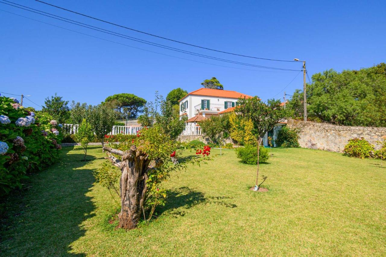 Casa Bacelar Afife Exterior photo